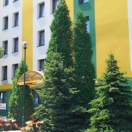 Rok Krakau