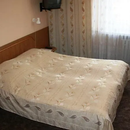 Rok Krakau