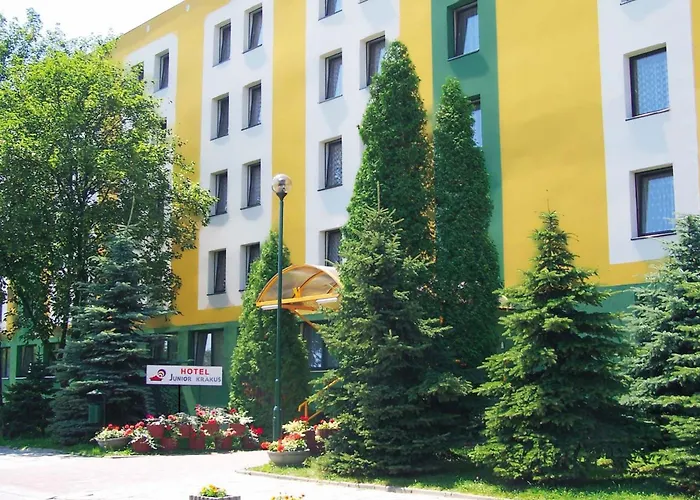 Rok كراكوفيا